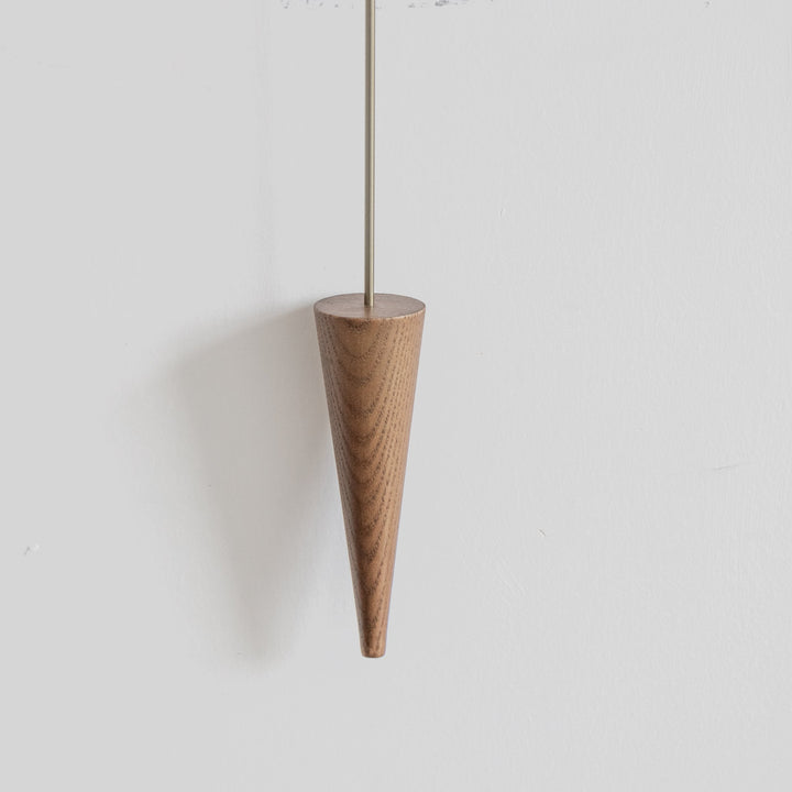 Fin Pendulum